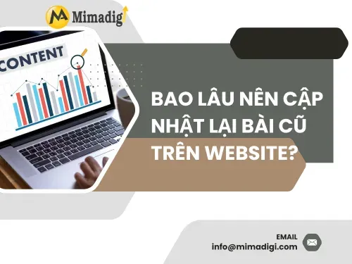 Bao lâu nên cập nhật lại bài cũ trên website?