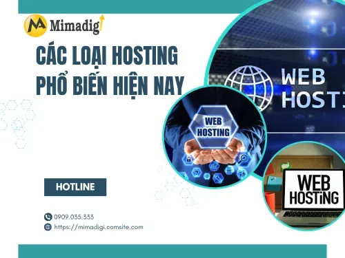 Các loại hosting phổ biến hiện nay
