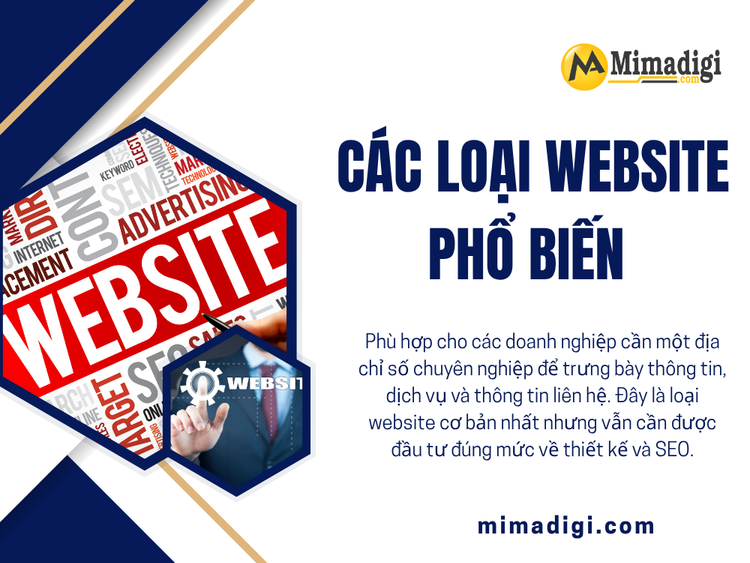 Các Loại Website Phổ Biến