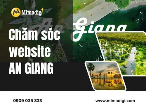 Chăm sóc website An Giang