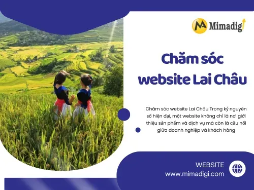 Chăm sóc website Lai Châu