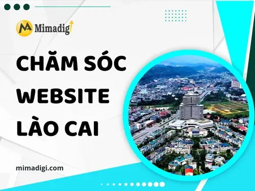Chăm sóc website  Lào Cai