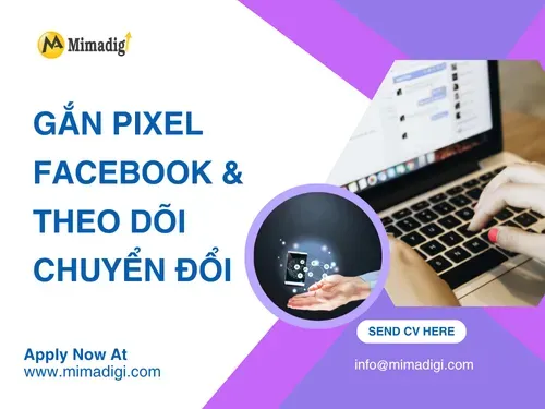 Gắn Pixel Facebook &amp; theo dõi chuyển đổi