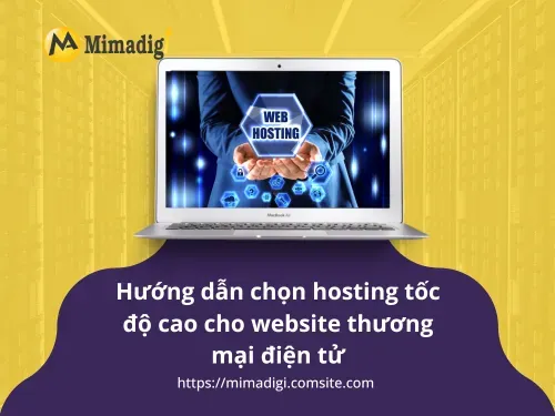 Hướng dẫn chọn hosting tốc độ cao cho website thương mại điện tử