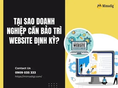 Tại sao doanh nghiệp cần bảo trì website định kỳ?